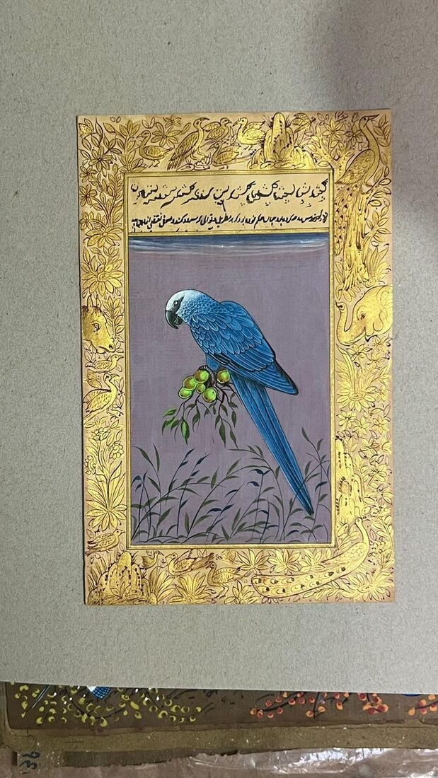 Blue macaw miniature painting
